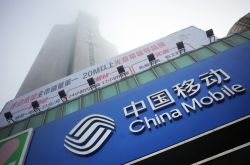 3分钟科普!齐齐哈尔单位电话号码_哔哩哔哩-2